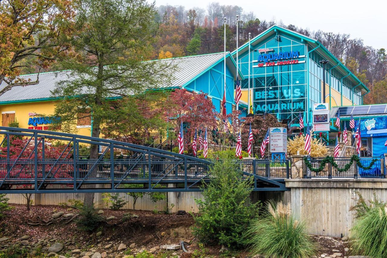 Woodland Escape Villa พิเจนฟอร์จ ภายนอก รูปภาพ